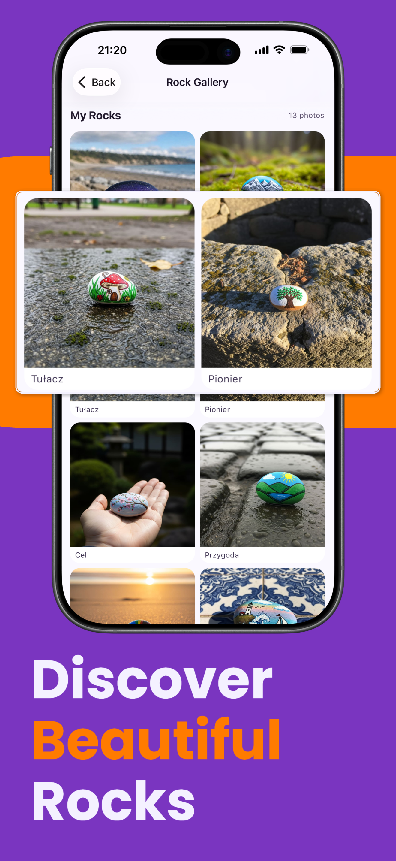 Discover beautiful painted rocks in the gallery