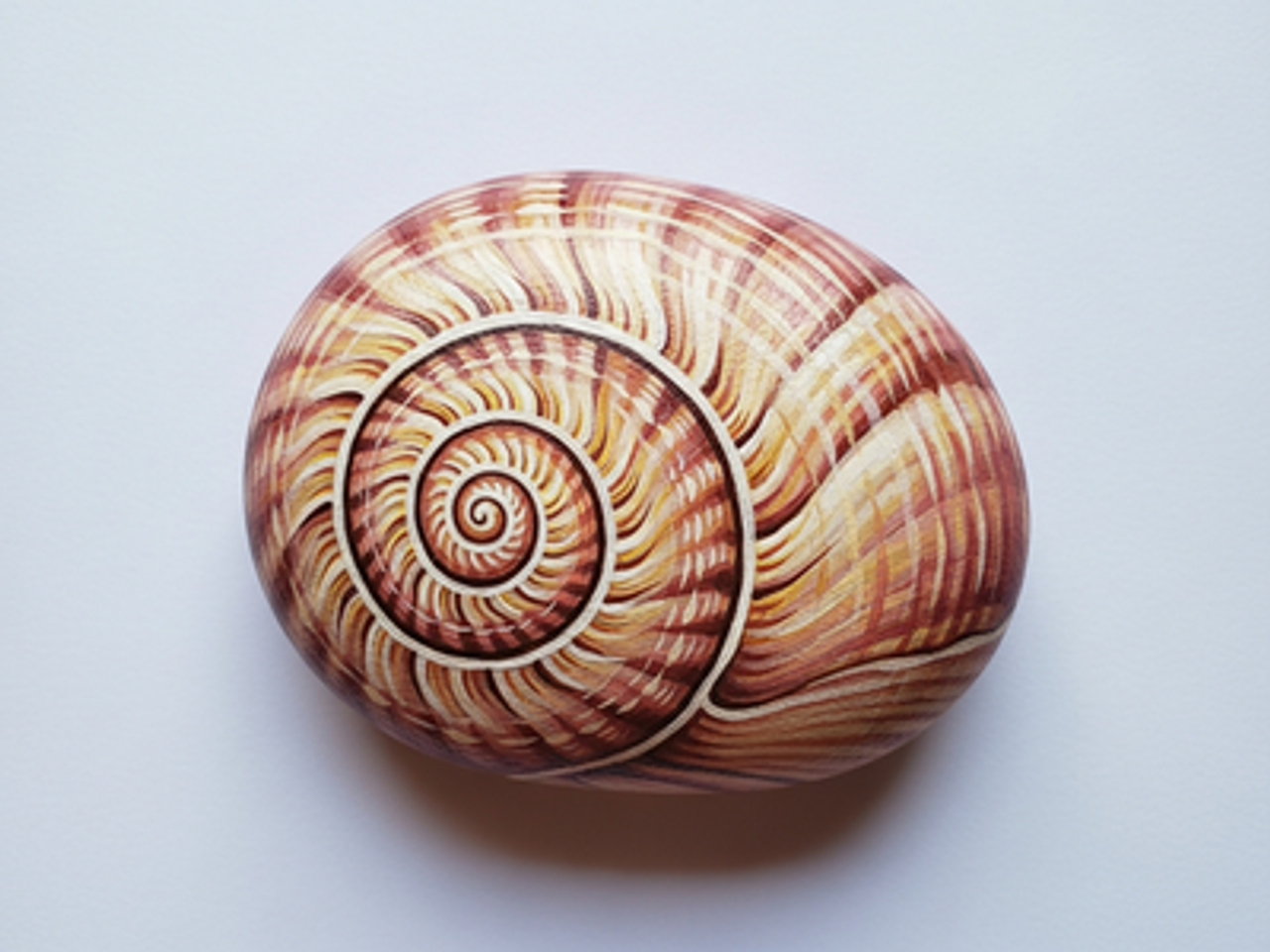 Sea Shell Rock Painting