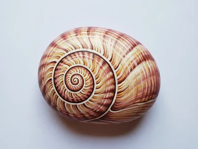 Sea Shell Rock Painting